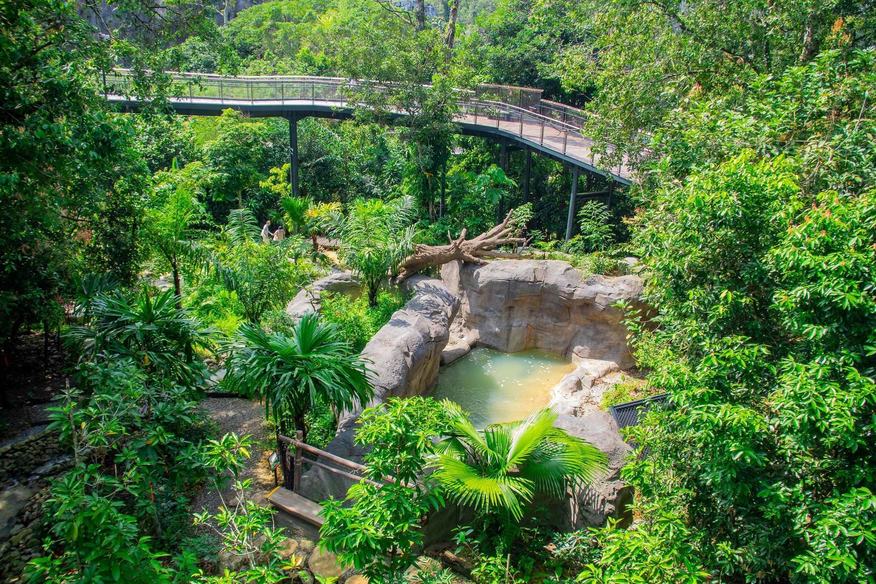 Singapore (Gardens By The Bay - Wings Of Time - Flower Dome - Cloud Forest - Oceanarium - Singapore Zoo)