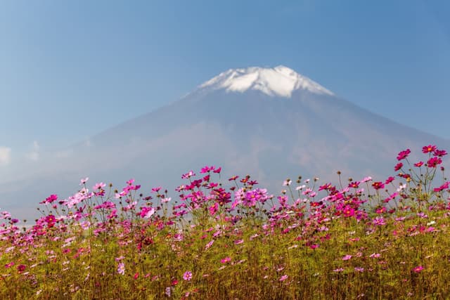 Nhật Bản (Osaka - Nara - Kyoto - Núi Phú Sỹ - Lễ Hội Hoa - Tokyo)