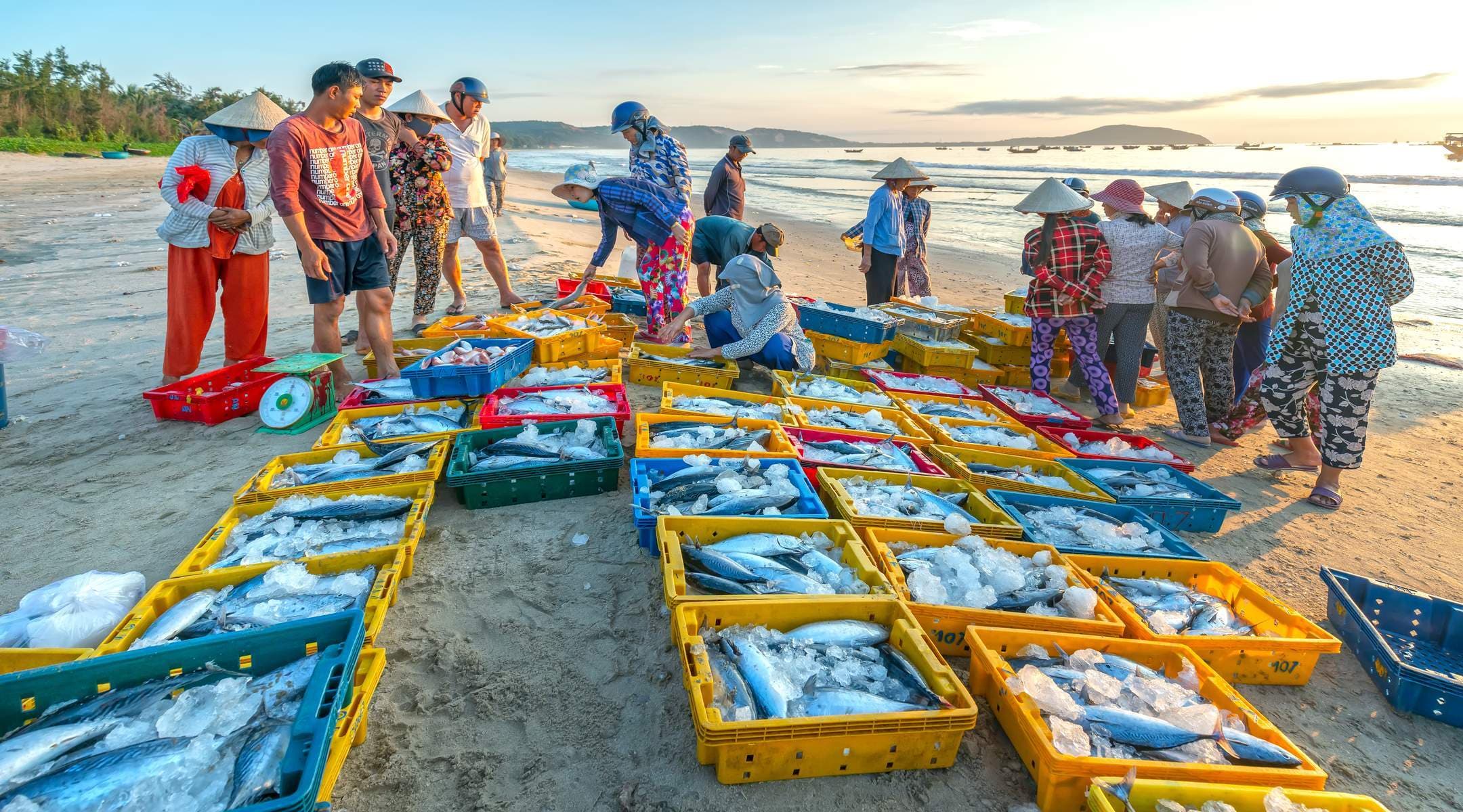 Phan Thiết - Đà Lạt