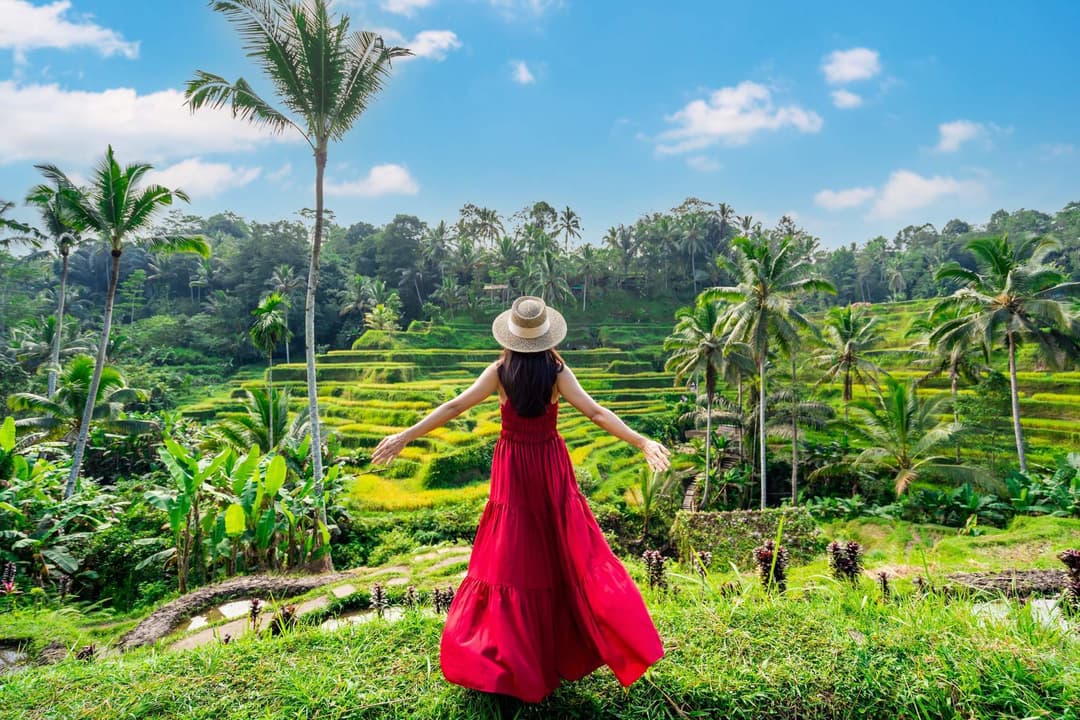 Indonesia - Bali (Tampaksiring Tour - Nusa Dua Đền Tanah Lot)