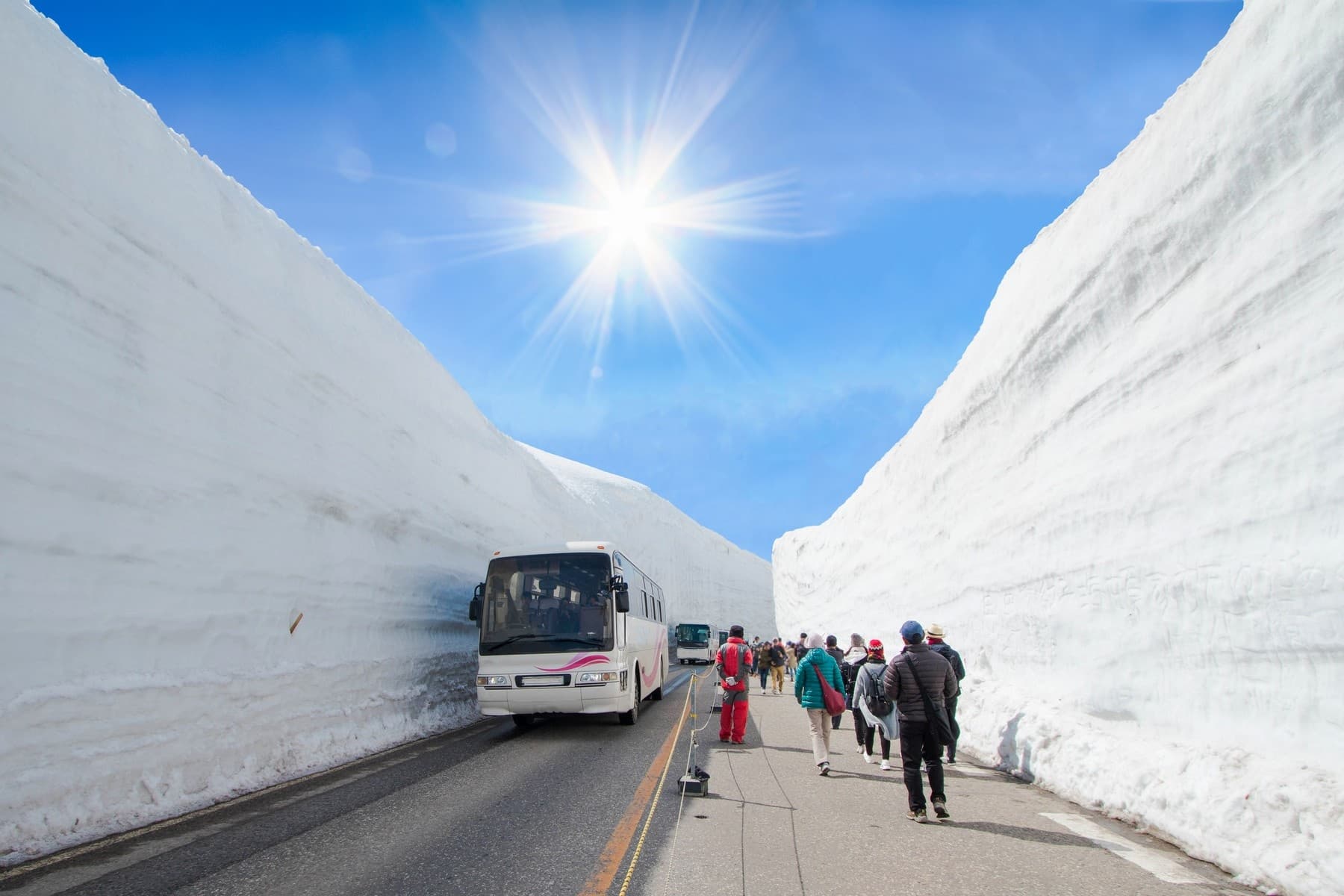 Nhật Bản (Nagoya - Takayama - Kurobe Alpine - Núi Phú Sỹ - Tokyo) - Thường Ngoạn Hoa Chi Anh Shibazakura