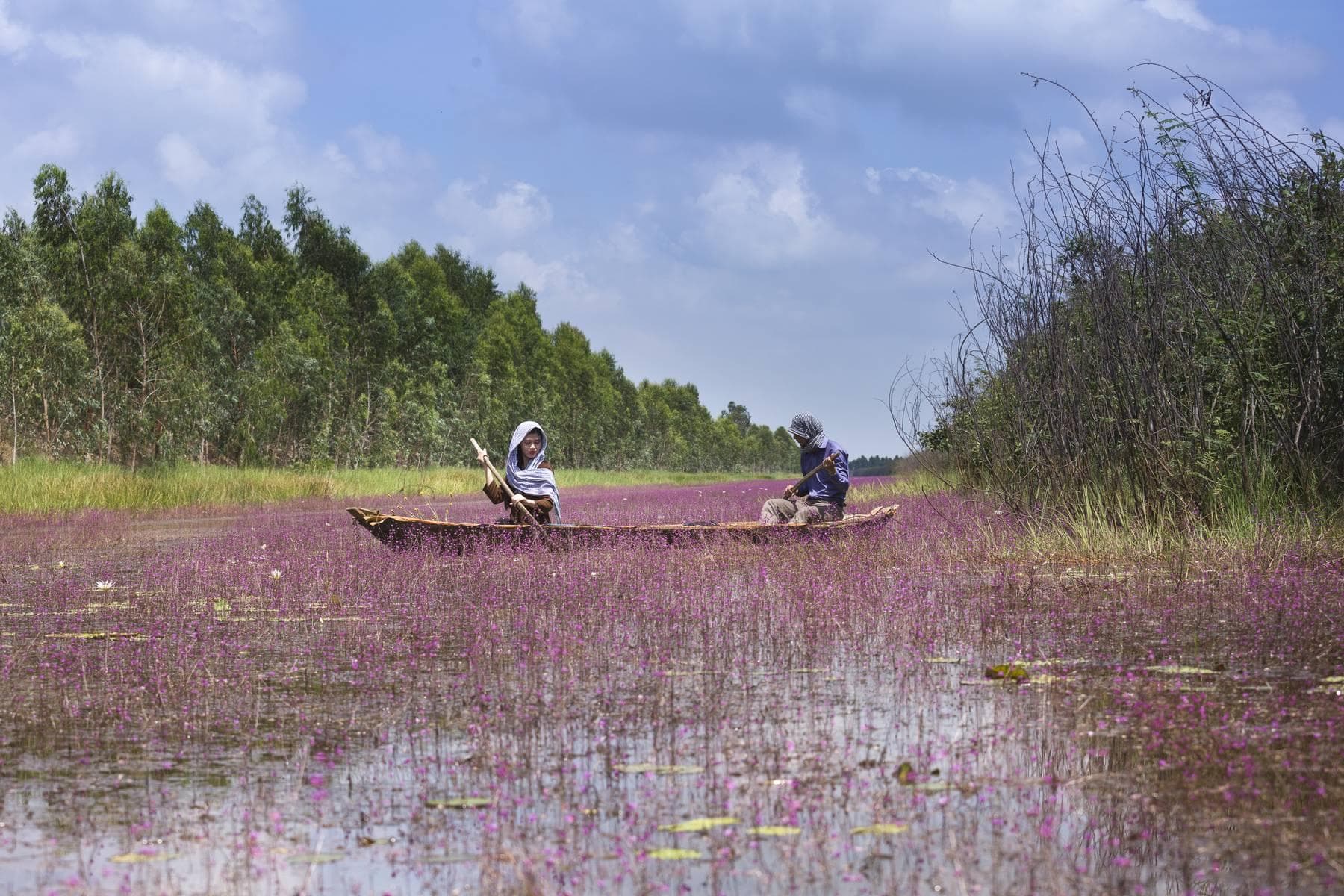 Bến Tre - Trà Vinh - Vĩnh Long - Đồng Tháp - Tiền Giang