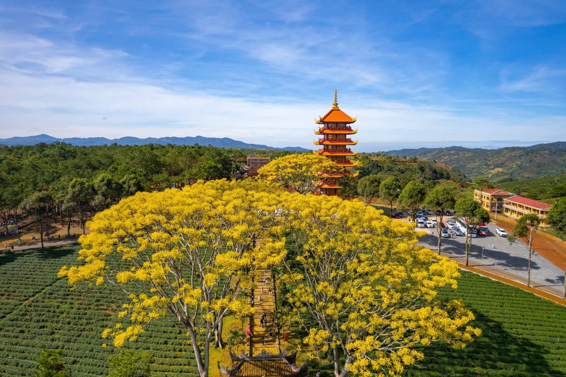 Bảo Lộc