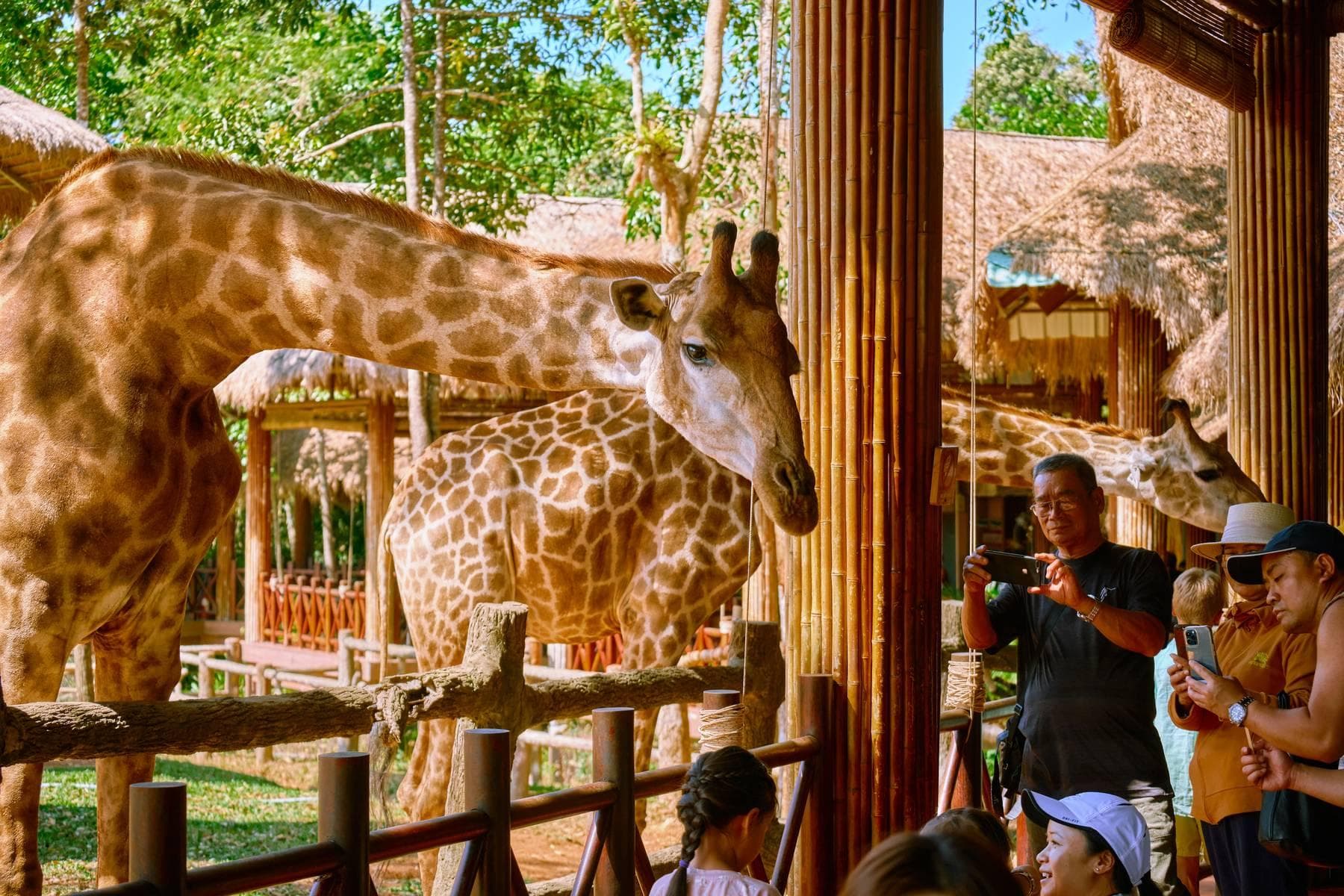 Phú Quốc - Vinpearl Safari - Vinwonders - Grand World