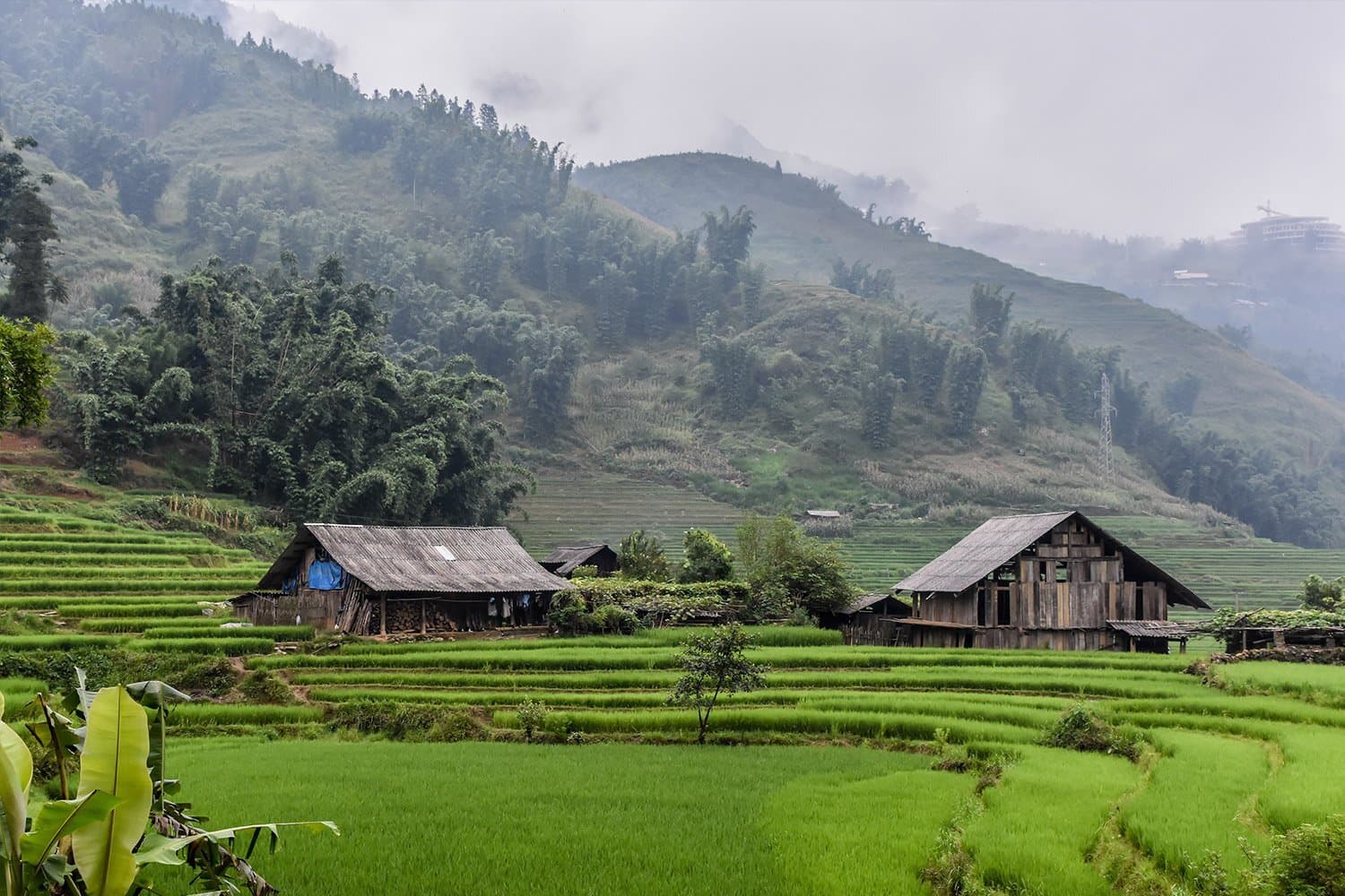 Hà Nội - Sapa - Lai Châu - Lào Cai