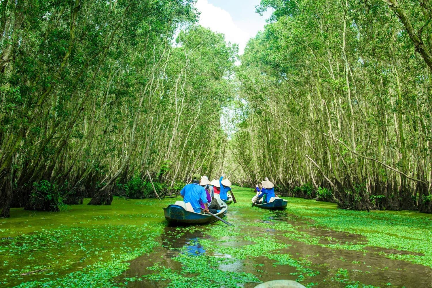MÙA NƯỚC NỔI (ĐỒNG THÁP – AN GIANG)