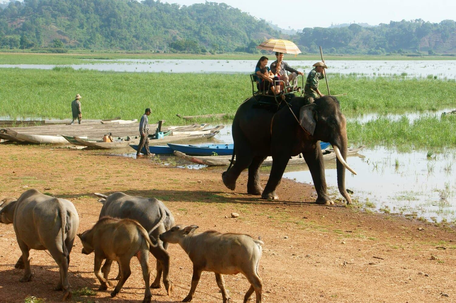 Việt Kiều - Pleiku - Kon Tum - Măng Đen (3N2Đ)