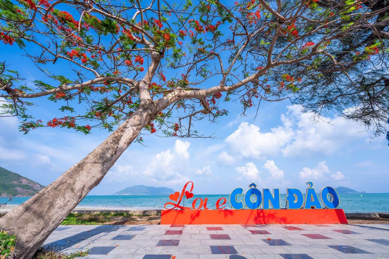 CÔN ĐẢO 2 NGÀY 1 ĐÊM