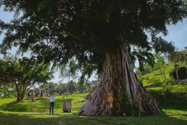Tour Yang Bay Nha Trang 01 Ngày