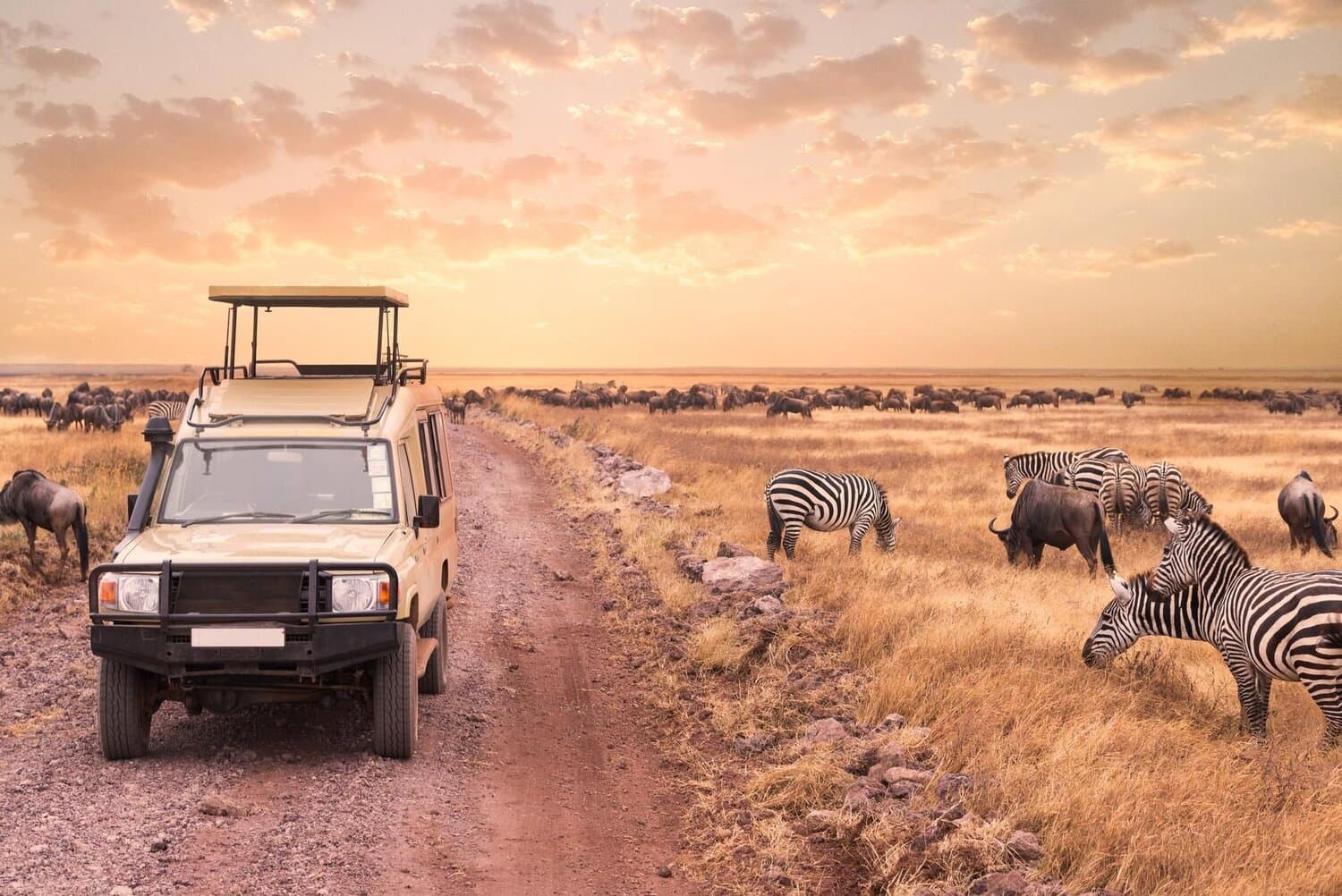 Nam Phi (Johannesburg – Gold Reef - Pretoria - Cape Town)