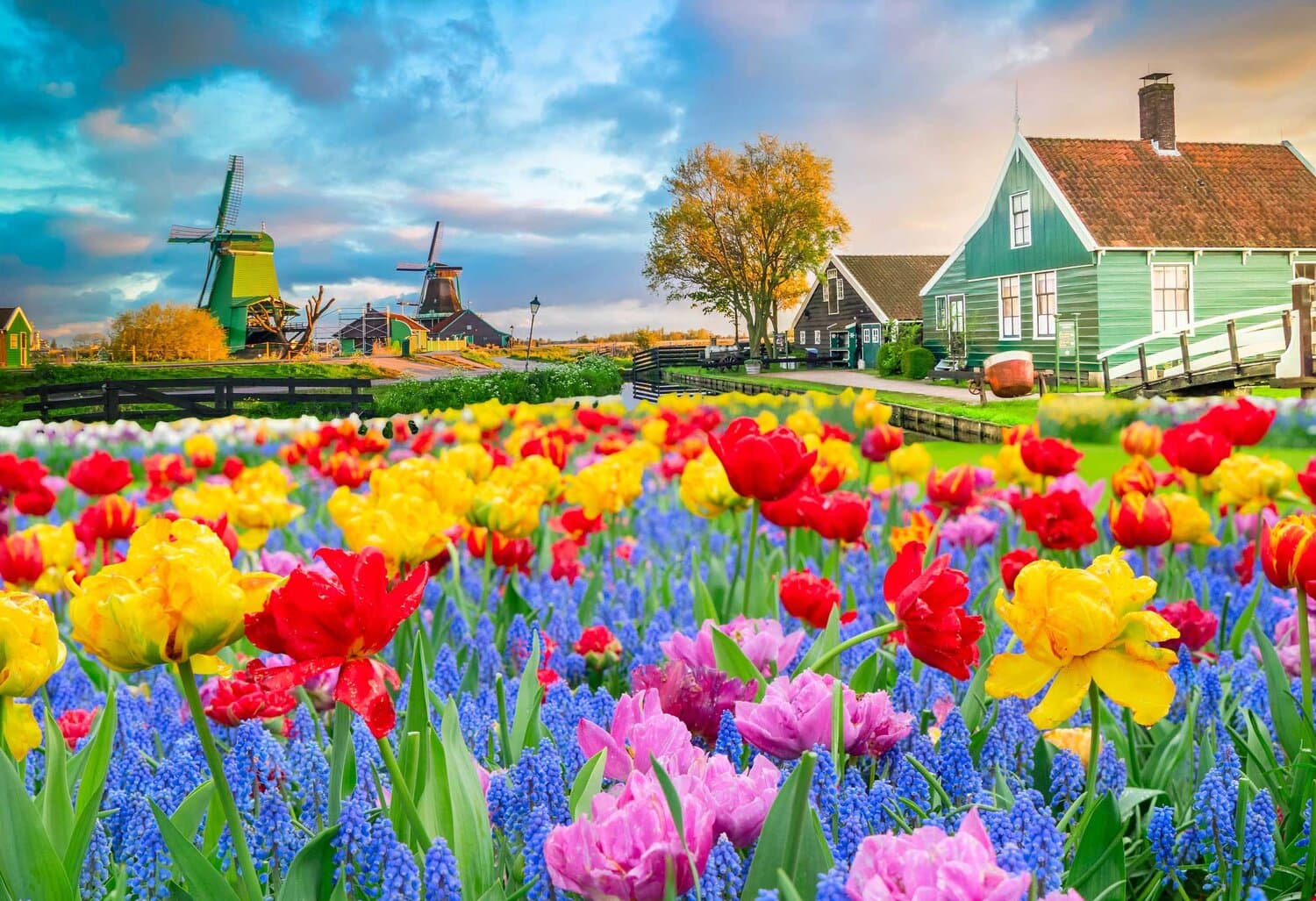 Châu Âu (Đức - Hà Lan - Bỉ - Pháp) Lễ Hội Hoa Tulip Keukenhof 2026